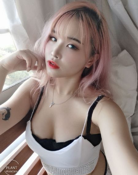 大漠枪神电视剧全集