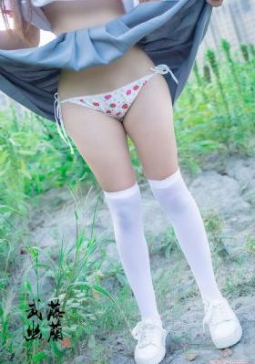 星尘计划