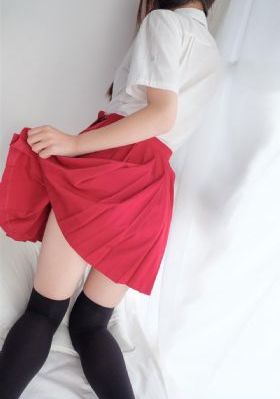野狼与鸽子