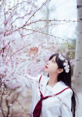 成人一级黄色片